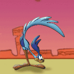 pic for Road Runner  